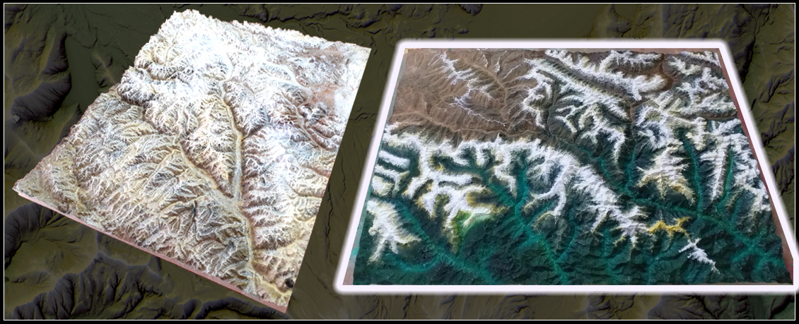 Land Search Solutions